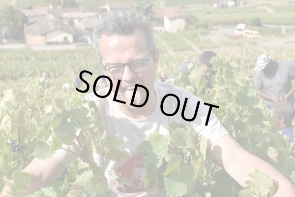 画像2: クリストフ・パカレ　ボジョレー・ヌーボー　2024 (2)