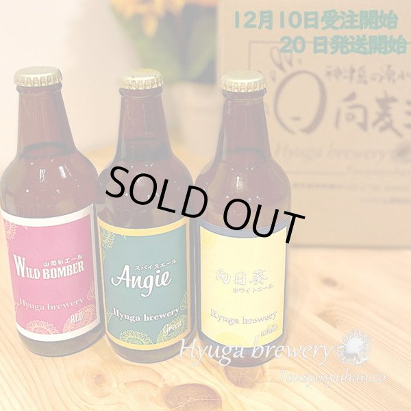 画像1: Hyuga Brewery 限定醸造！2021冬クラフトビールギフト (1)