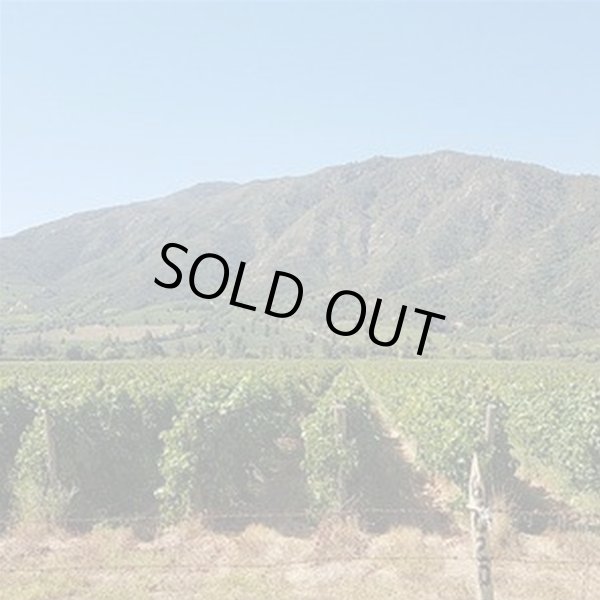 画像3: アパルタグア　チリ・ヌーボー（白）　2024 (3)