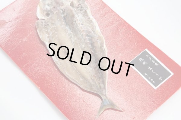 【八丈島産青むろ鯵使用!】藍ヶ江水産 青むろ鯵 熟成生くさや(1枚)